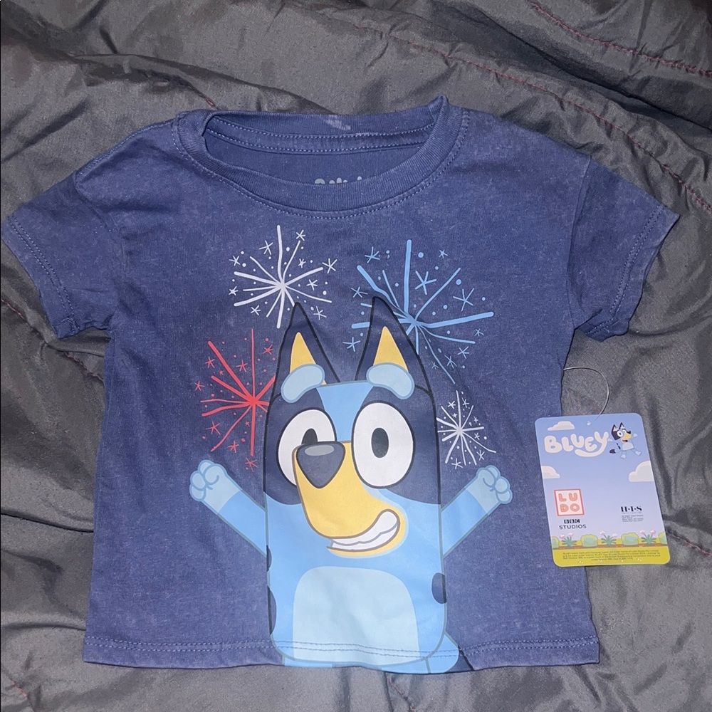 Bluey Kids' T-Shirt with Fireworks Design